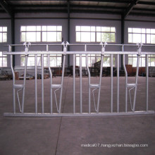 Livestock Equipment Hot DIP Galvanized Cow Cattle Headlocks